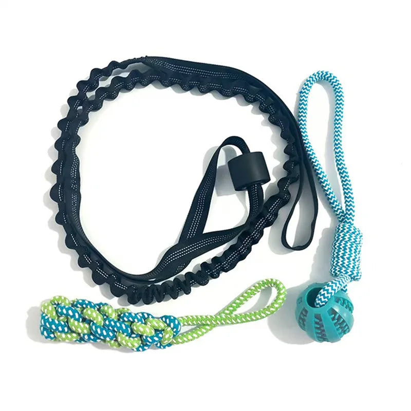 Luna & Kin Bungee Tug Toy