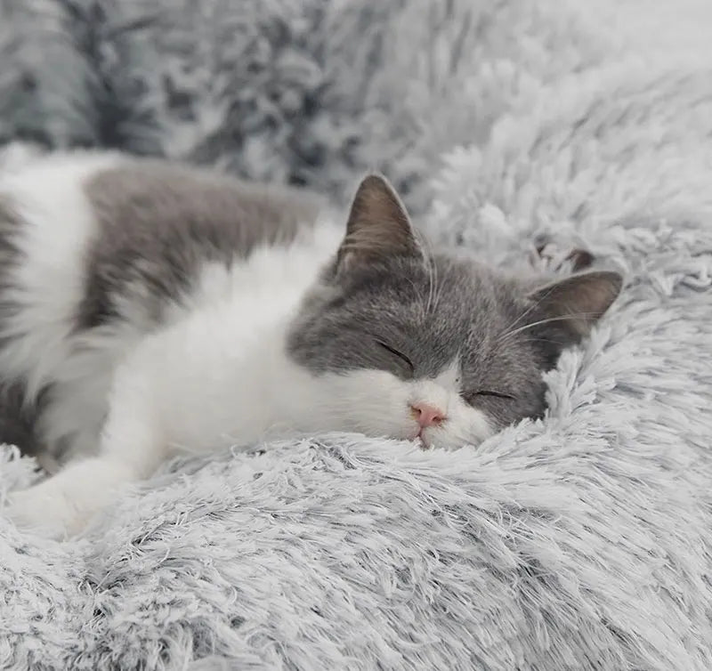 Luna & Kin Cat Tunnel Bed