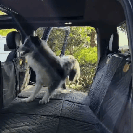 Luna & Kin Car Seat Cover